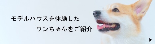 犬バナー1.jpg