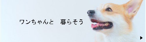 犬バナー3.png