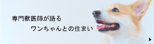 犬バナー2.jpg